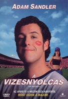 The Waterboy - Hungarian DVD movie cover (xs thumbnail)