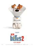 The Secret Life of Pets 2 Poster