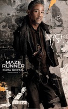Maze Runner: The Death Cure - Mexican Movie Poster (xs thumbnail)