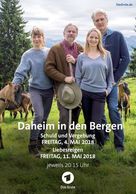 &quot;Daheim in den Bergen&quot; - German Movie Cover (xs thumbnail)