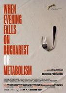 C&acirc;nd se lasa seara peste Bucuresti sau metabolism - Romanian Movie Poster (xs thumbnail)