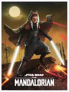 "The Mandalorian" Custom