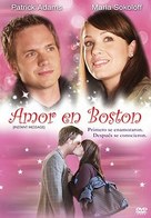 Christmas in Boston - Argentinian Movie Cover (xs thumbnail)