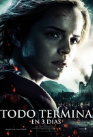 Harry Potter and the Deathly Hallows - Part 2 - Argentinian Movie Poster (xs thumbnail)