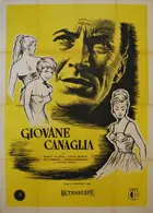 Giovane canaglia Poster
