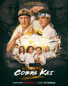 &quot;Cobra Kai&quot; - Turkish Movie Poster (xs thumbnail)