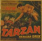The New Adventures of Tarzan - Movie Poster (xs thumbnail)