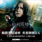 Harry Potter and the Deathly Hallows: Part II - Taiwanese Movie Poster (xs thumbnail)