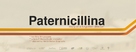Paternicillina - Italian Logo (xs thumbnail)