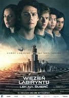 Maze Runner: The Death Cure - Polish Movie Poster (xs thumbnail)