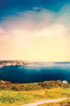 The Guernsey Literary & Potato Peel Pie Society Textless