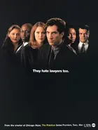 "The Practice" Poster