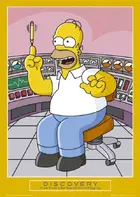 "The Simpsons" Other