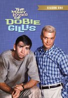 &quot;The Many Loves of Dobie Gillis&quot; - DVD movie cover (xs thumbnail)