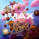 Wonka - Turkish Movie Poster (xs thumbnail)