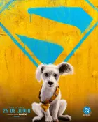 Supergirl Poster