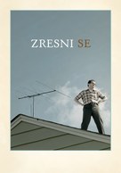A Serious Man - Slovenian Movie Poster (xs thumbnail)
