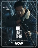 &quot;The Last of Us&quot; - Irish Movie Poster (xs thumbnail)