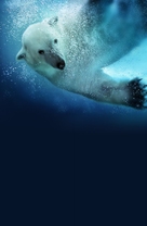 Polar Bears: Spy on the Ice - Key art (xs thumbnail)