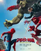 Spider-Man: Brand New Day Poster