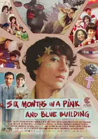 Six Months in a Pink and Blue Building Poster