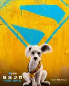 Supergirl Poster