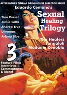 The Healers - DVD movie cover (xs thumbnail)