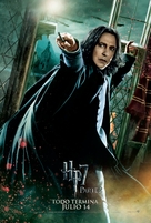 Harry Potter and the Deathly Hallows - Part 2 - Argentinian Movie Poster (xs thumbnail)