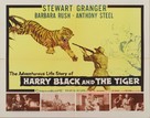 Harry Black - Movie Poster (xs thumbnail)