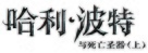 Harry Potter and the Deathly Hallows - Part 1 - Chinese Logo (xs thumbnail)