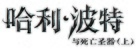 Harry Potter and the Deathly Hallows: Part I - Chinese Logo (xs thumbnail)