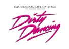 Dirty Dancing - German Logo (xs thumbnail)