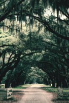 &quot;Southern Gothic&quot; - Key art (xs thumbnail)