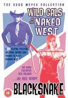 Wild Gals of the Naked West - British DVD movie cover (xs thumbnail)