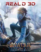 Avatar: Fire and Ash Poster
