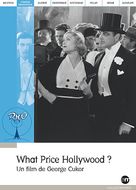 What Price Hollywood? - French DVD movie cover (xs thumbnail)