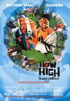 How High Poster