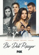 &quot;Bir Deli R&uuml;zgar&quot; - Turkish Movie Poster (xs thumbnail)