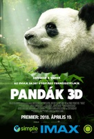 Pandas - Hungarian Movie Poster (xs thumbnail)