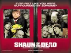 Shaun of the Dead Poster