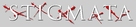 Stigmata - Logo (xs thumbnail)