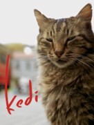 Kedi - Movie Cover (xs thumbnail)