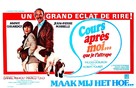 Cours apr&egrave;s moi que je t&#039;attrape - Belgian Movie Poster (xs thumbnail)