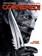 Cornered! - DVD movie cover (xs thumbnail)