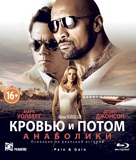 Pain &amp; Gain - Russian Movie Cover (xs thumbnail)