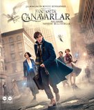 Fantastic Beasts and Where to Find Them - Turkish Movie Cover (xs thumbnail)