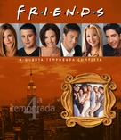 &quot;Friends&quot; - Brazilian Movie Cover (xs thumbnail)