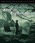Great Expectations - Movie Cover (xs thumbnail)