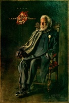 The Hunger Games: Catching Fire - Italian Movie Poster (xs thumbnail)