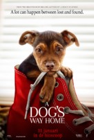 A Dog&#039;s Way Home - Dutch Movie Poster (xs thumbnail)